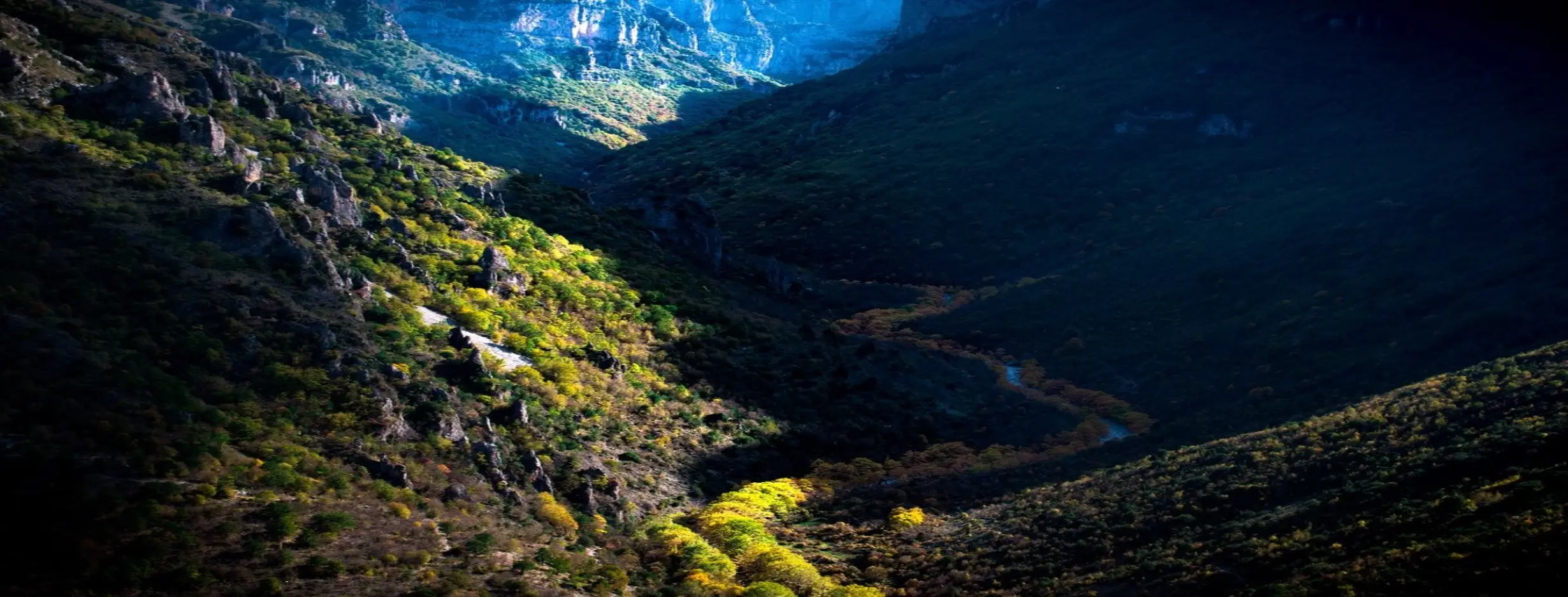 Image for Outdoor Recreation Paradise